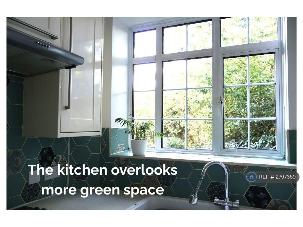 The Kitchen