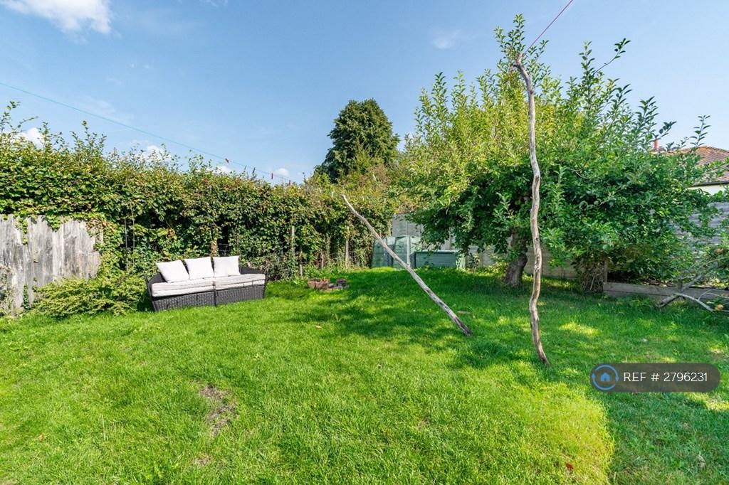 Mature Apple Trees