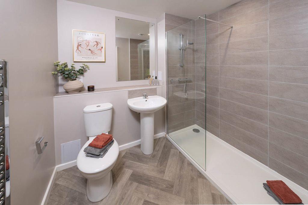 Typical shower room (1 bedroom apartment)