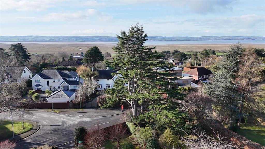 Dji 20260214112011 0125 d.jpg