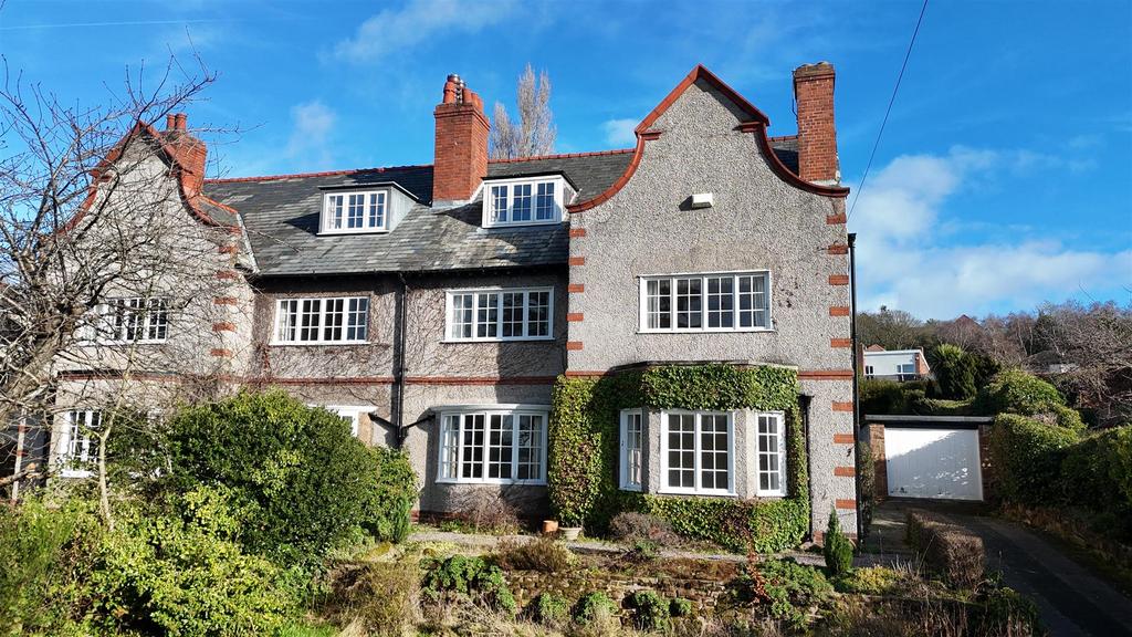 Dji 20260214111930 0118 d.jpg