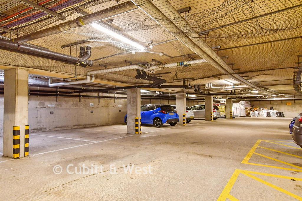 Driveway/Parking