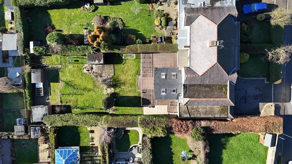 Dji 20260214120523 0062 d.jpg