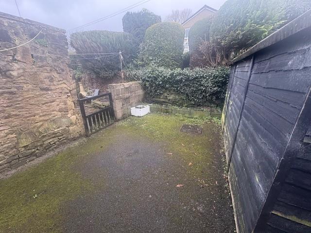 Back Yard.jpg