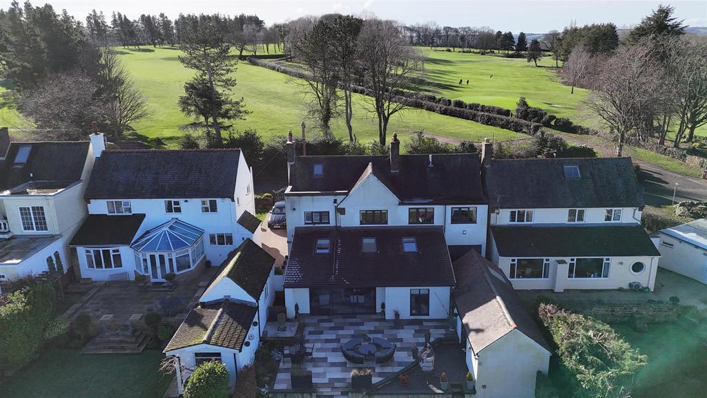 Dji 20260214124557 0093 d.jpg