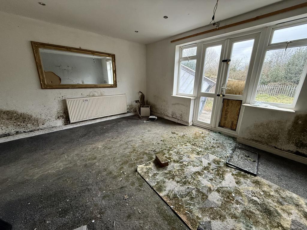 IMG 1578 T202602171111.jpeg