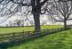 Mickle Hill, Pickering, YO18 7NB photo 4