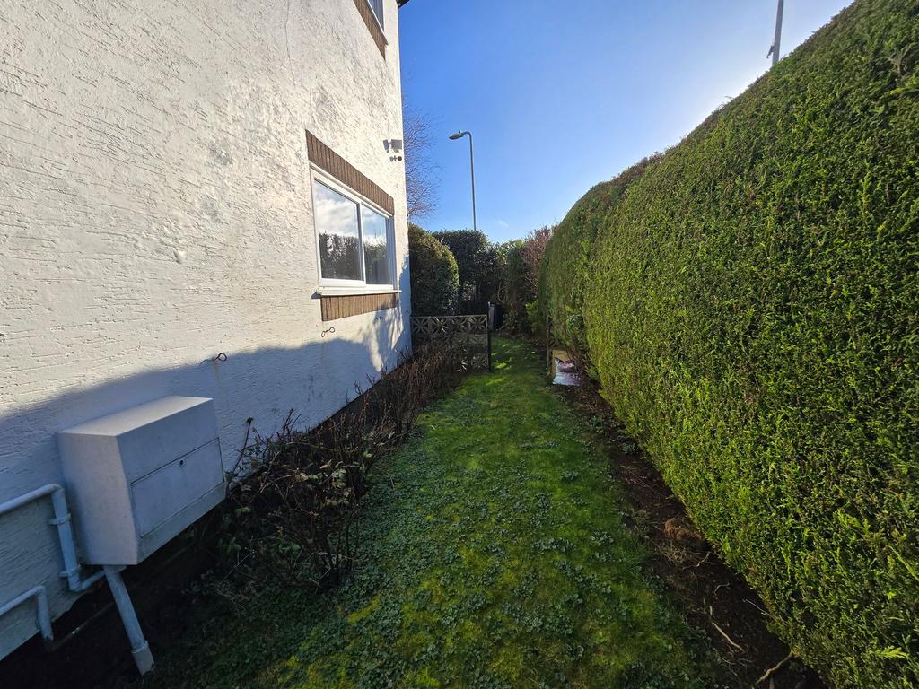 Side Garden