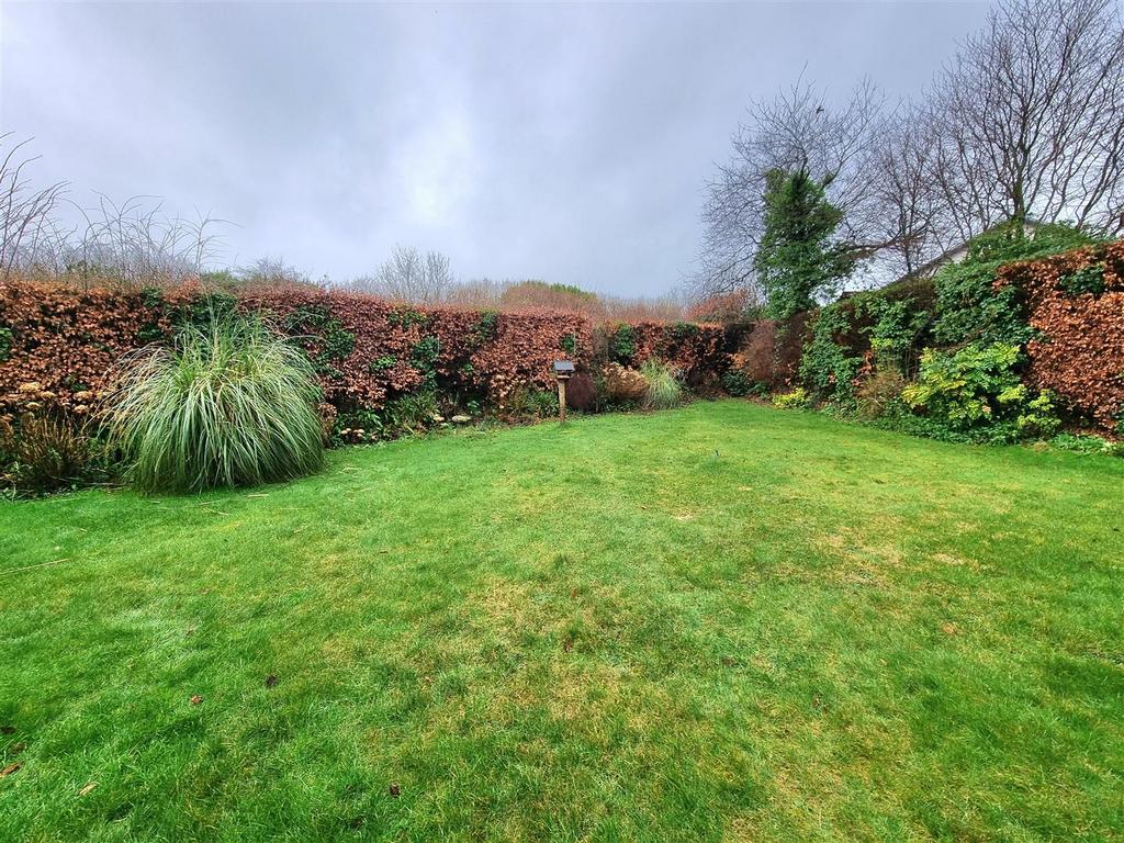 Lawn.jpg