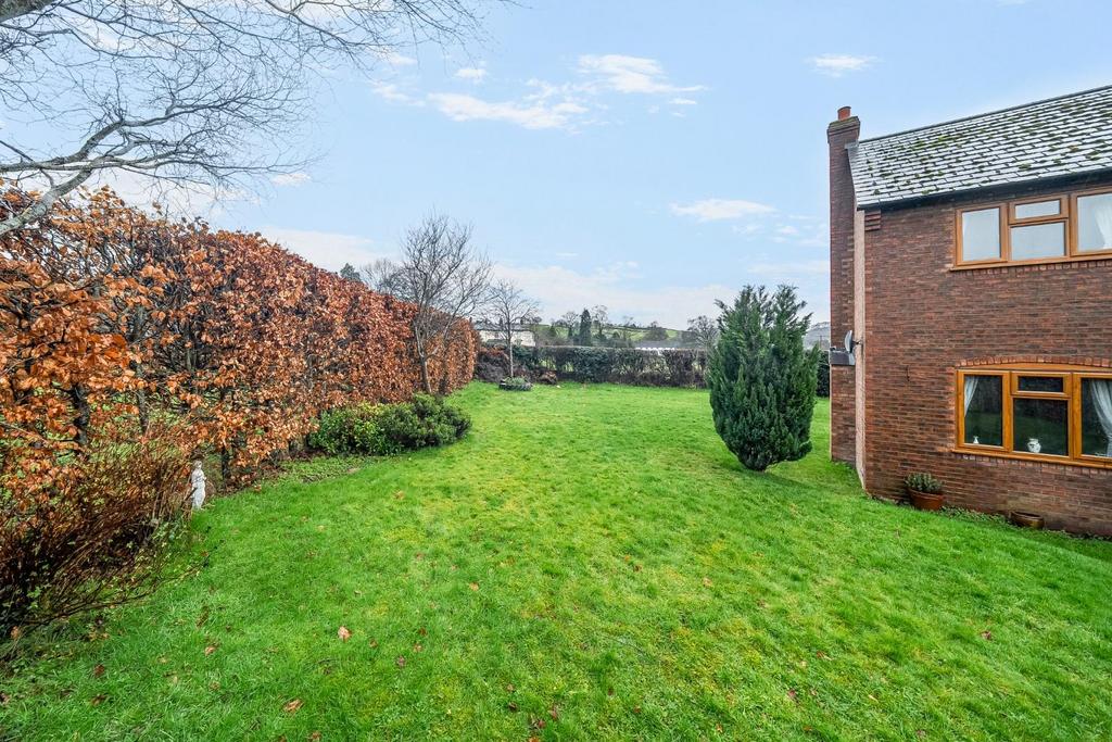 Lawn area.jpg