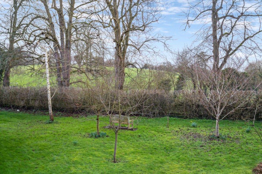 Communal Gardens