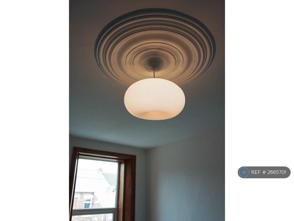 Ceiling Rose