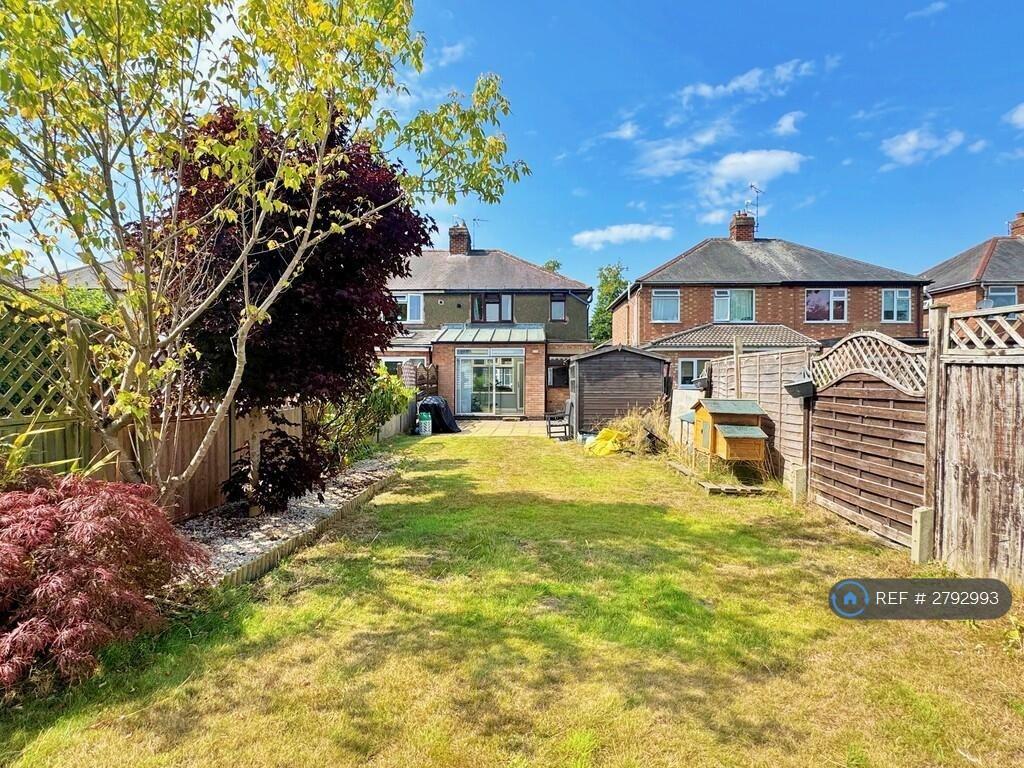 Back Garden
