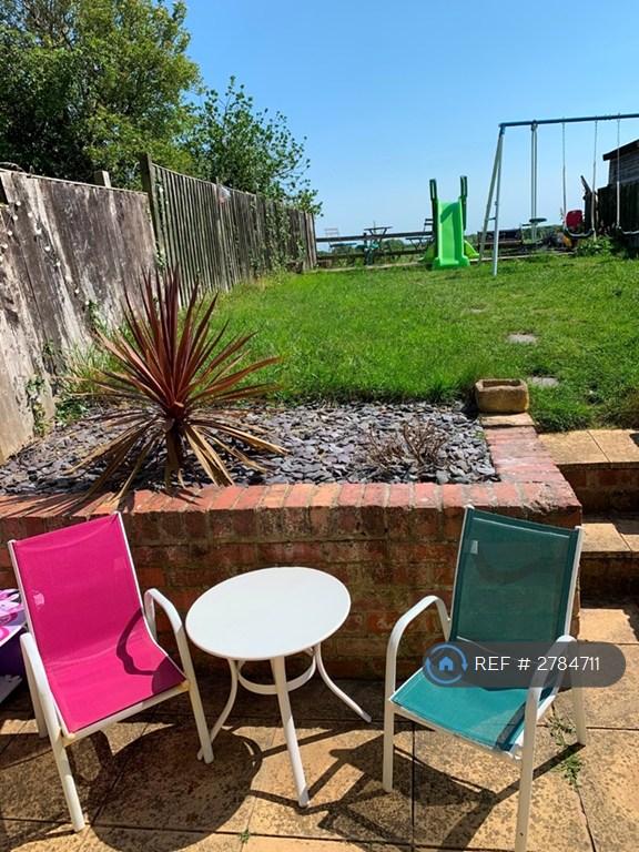 Back Garden