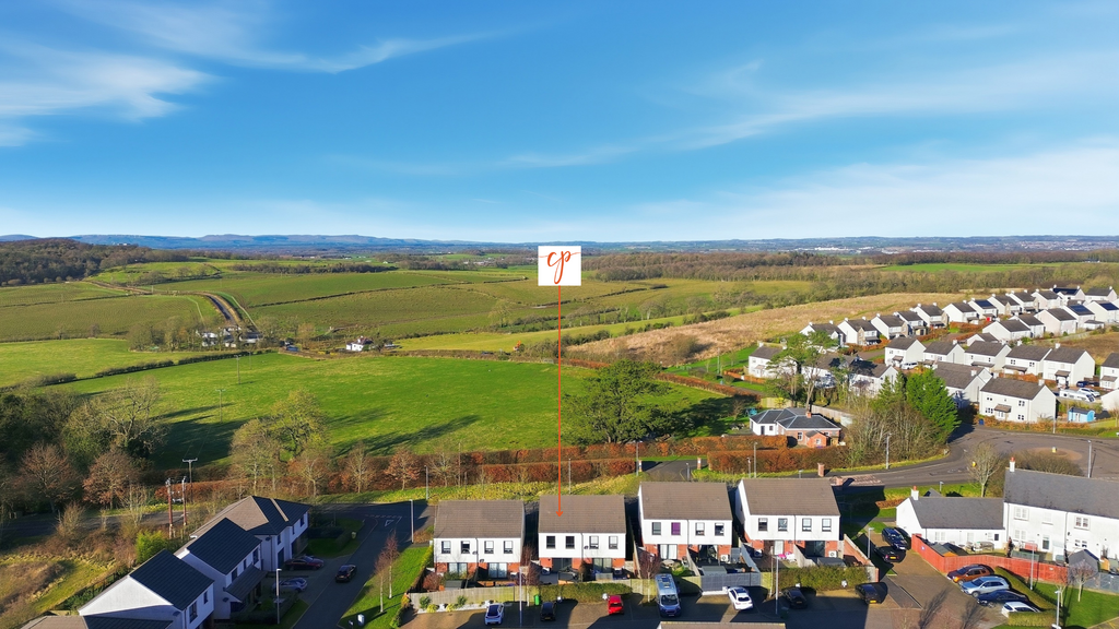 Aerial View with pin back