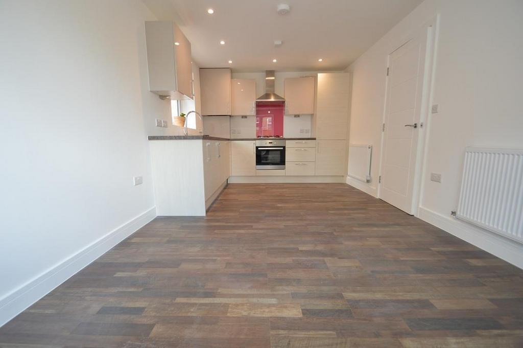 Lounge and Kitchen
