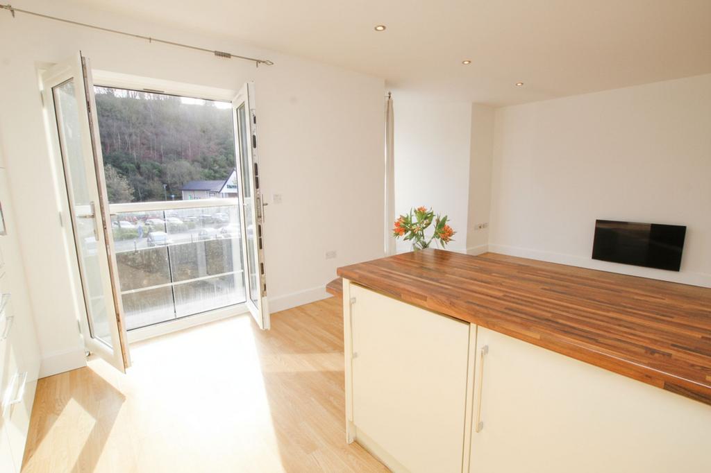 Lounge / Kitchen / Diner