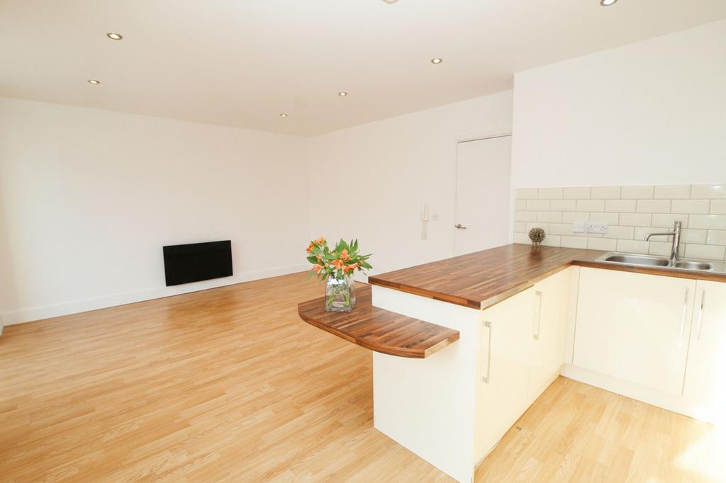 Lounge / Kitchen / Diner