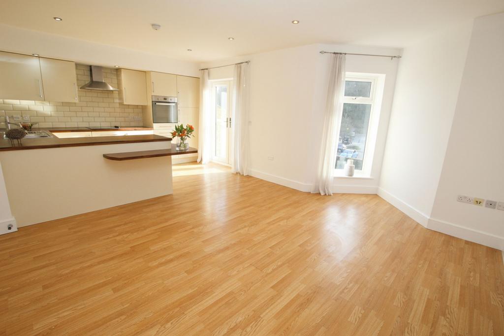 Lounge / Kitchen / Diner