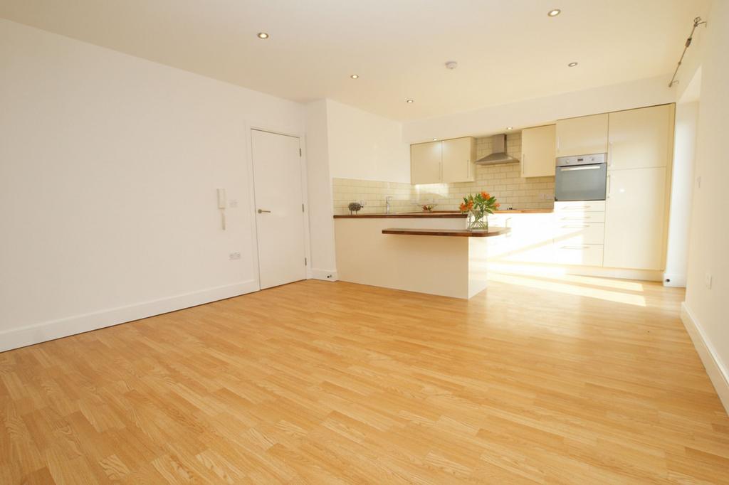 Lounge / Kitchen / Diner