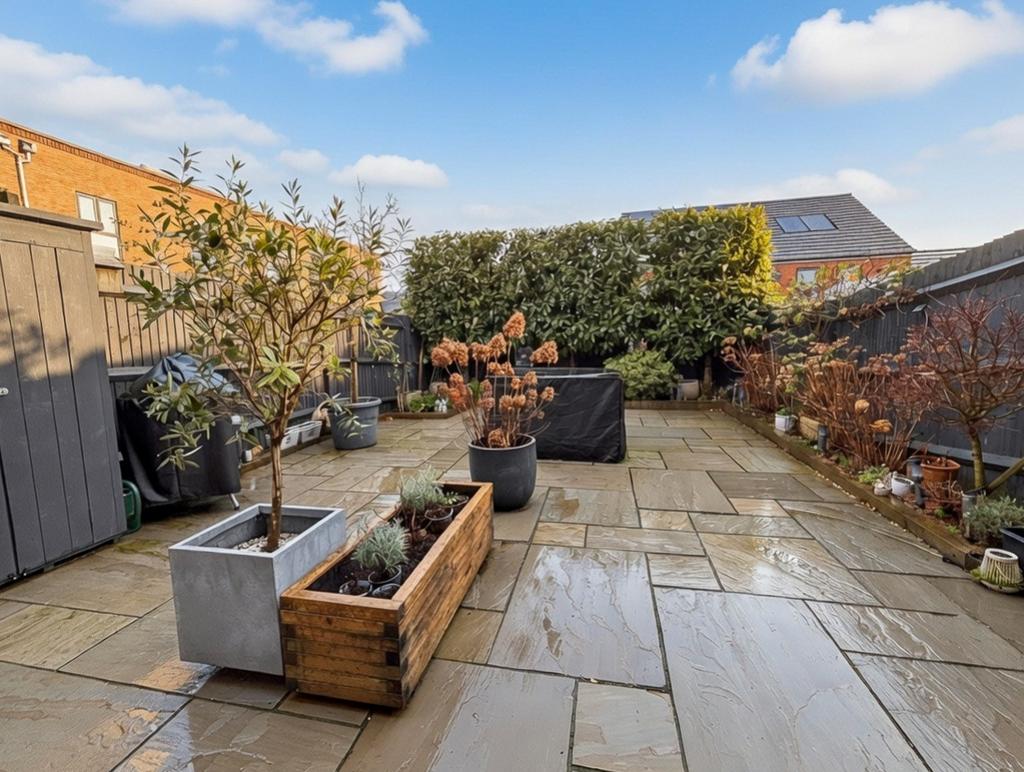 Back Garden