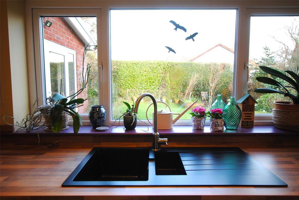 Window