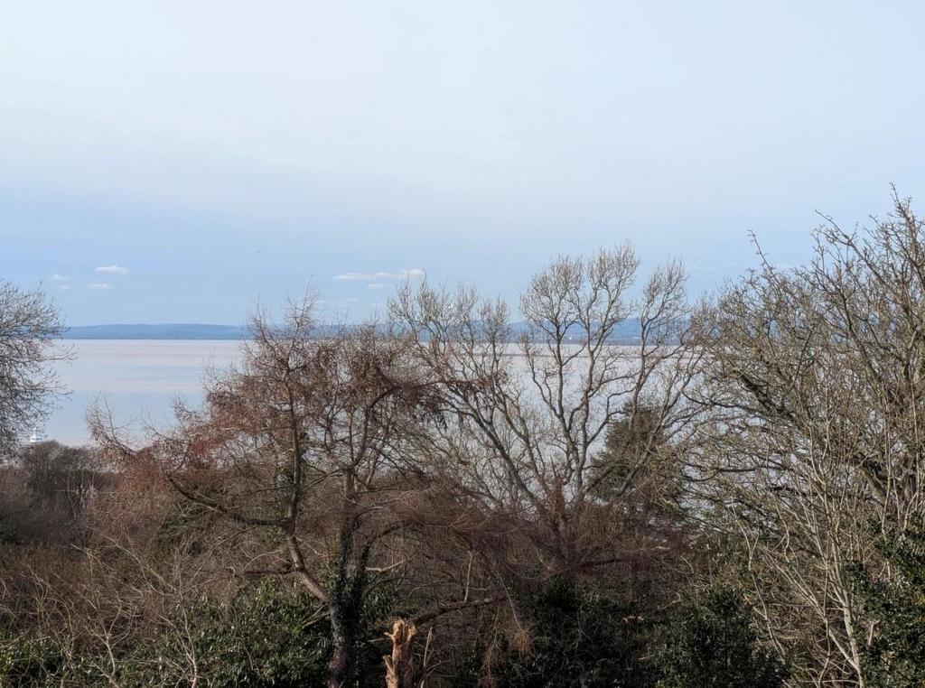 View 3.jpg