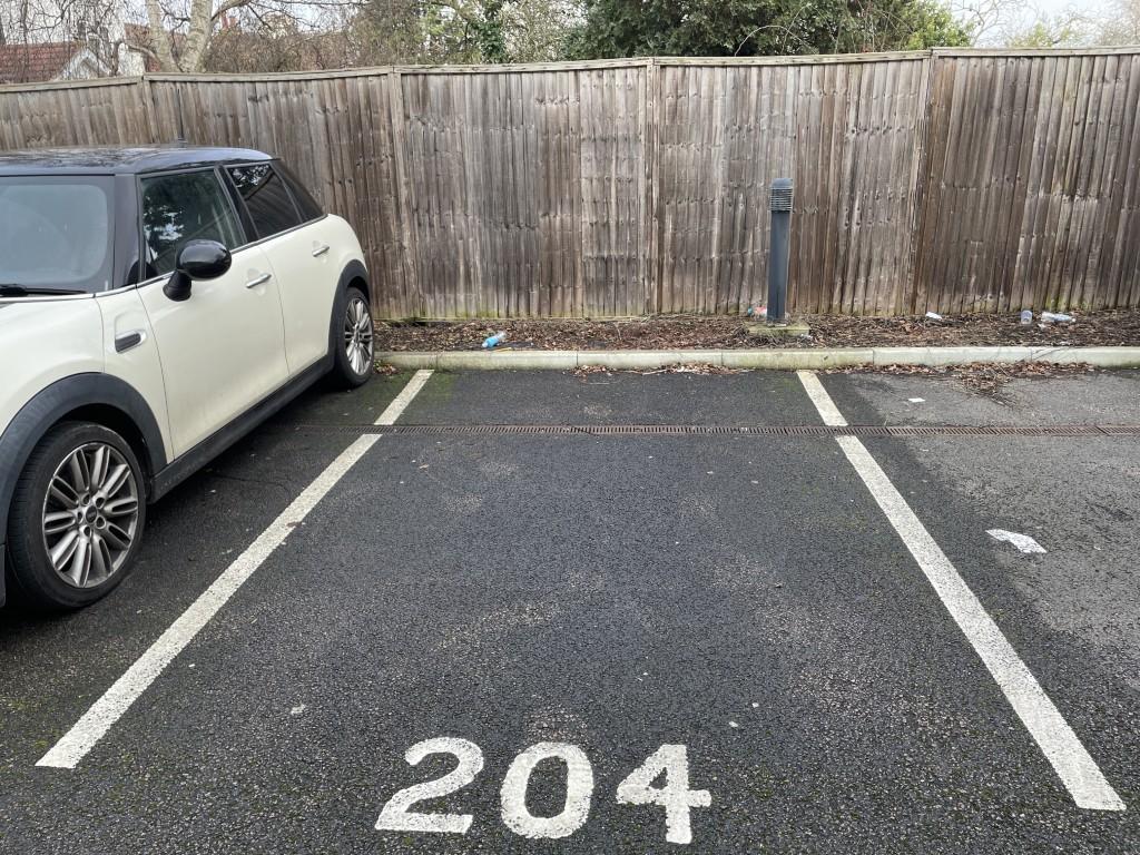 9  Medium  T202602171132.jpeg