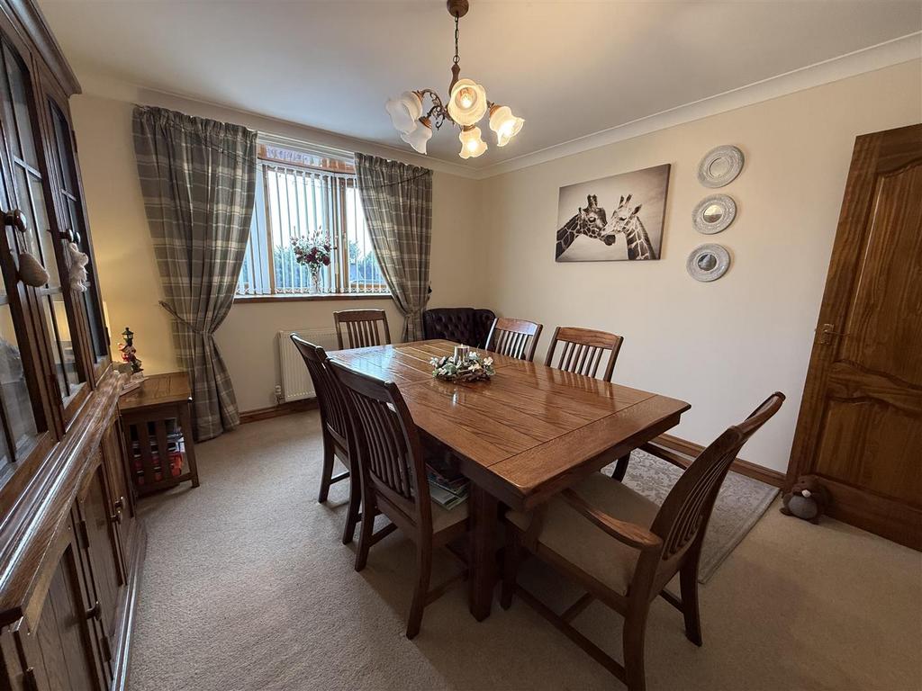 IMG 8190.jpeg