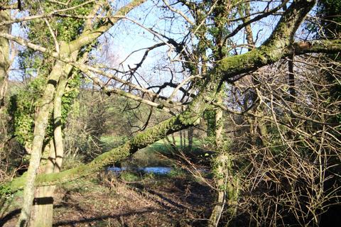undefined, Beals Mill, Stoke Climsland