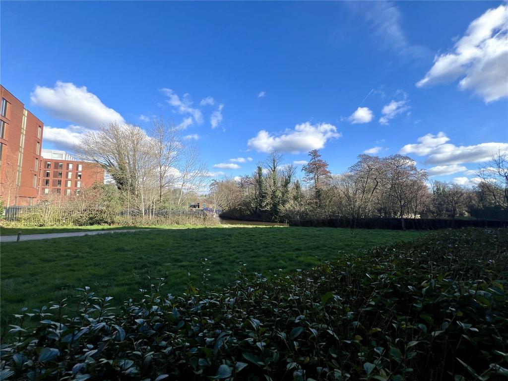 Communal Grounds