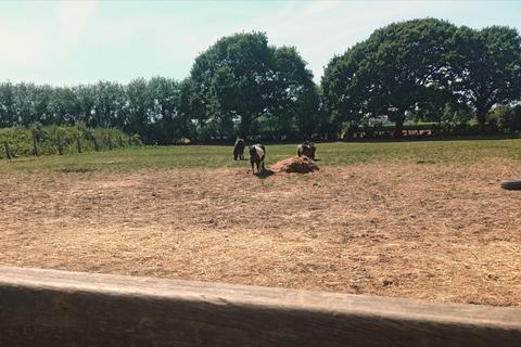 Land for sale, Lock Lane, Birdham, PO20