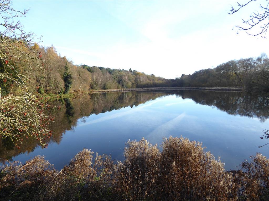Hurcott Pool