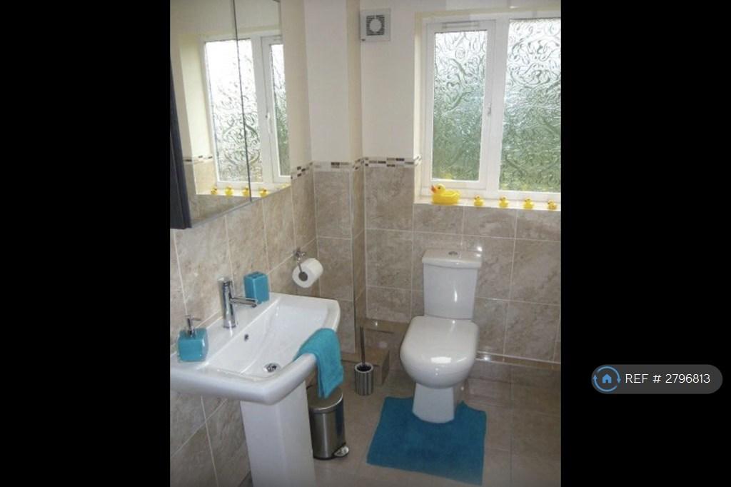 Clean, Modern, Tiled Floor And Walls