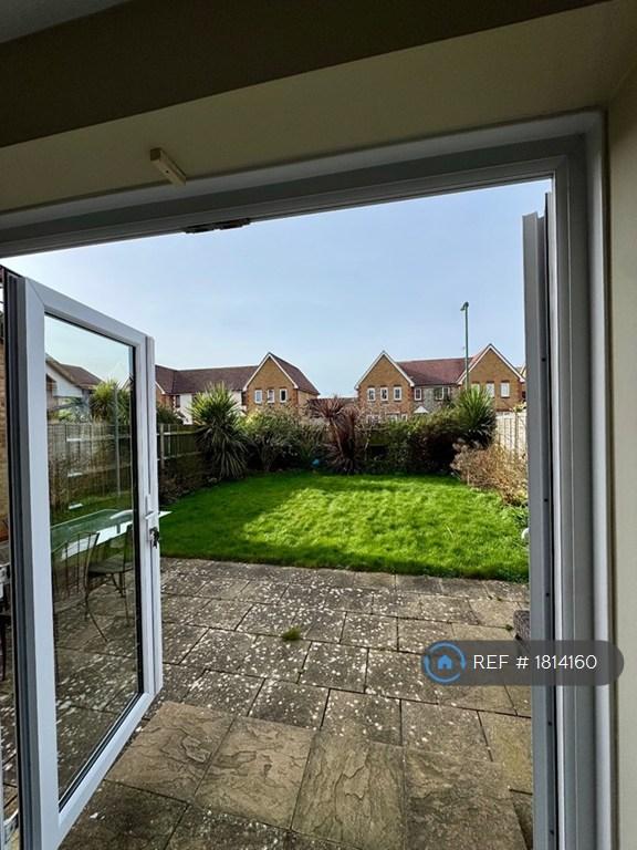 Back Garden