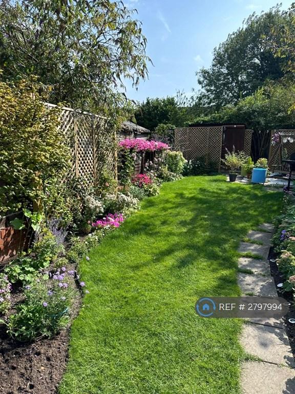 Garden From House