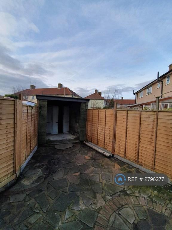 Garden With Shed