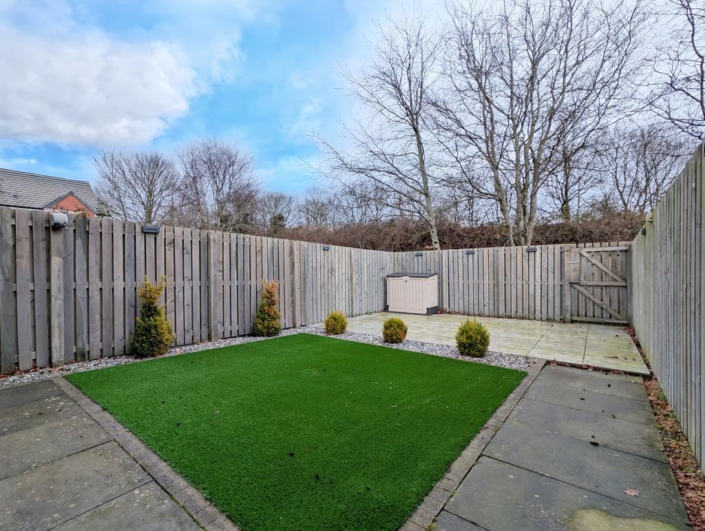 21 - Back garden 2