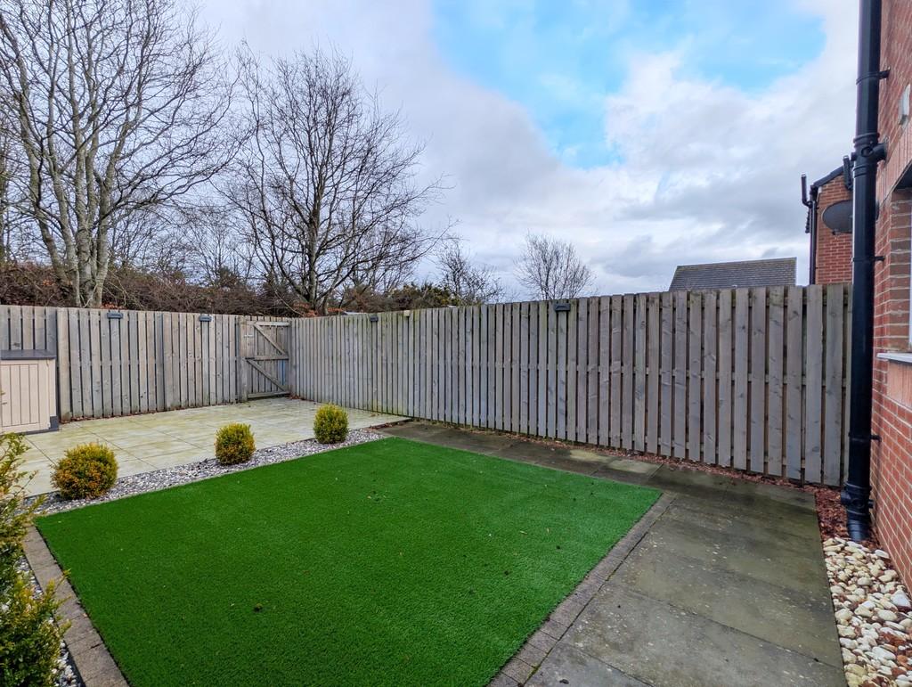 22 - Back garden 3