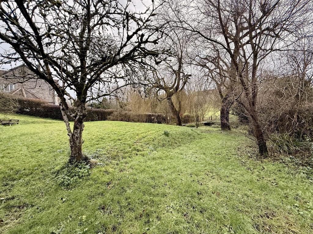 Meadow and Stream