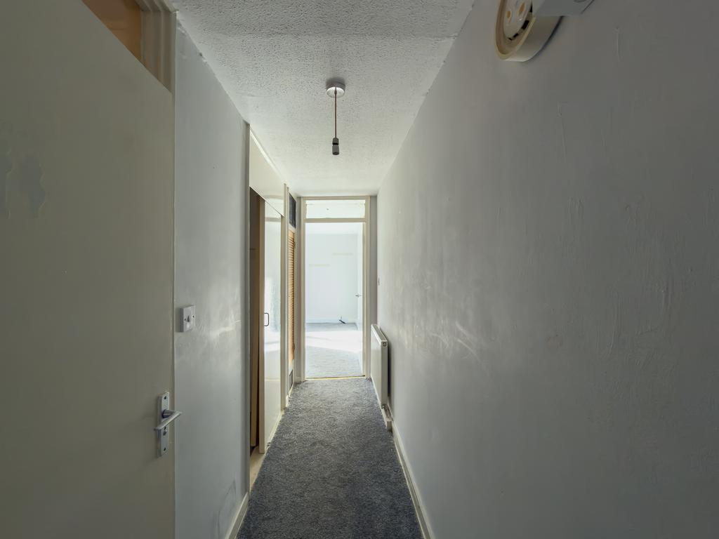 IMG 2793 T202602172047.jpg