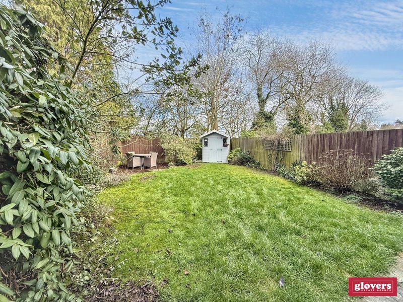 Back garden