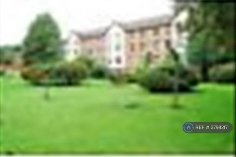 undefined, Seven Sisters, London, N15