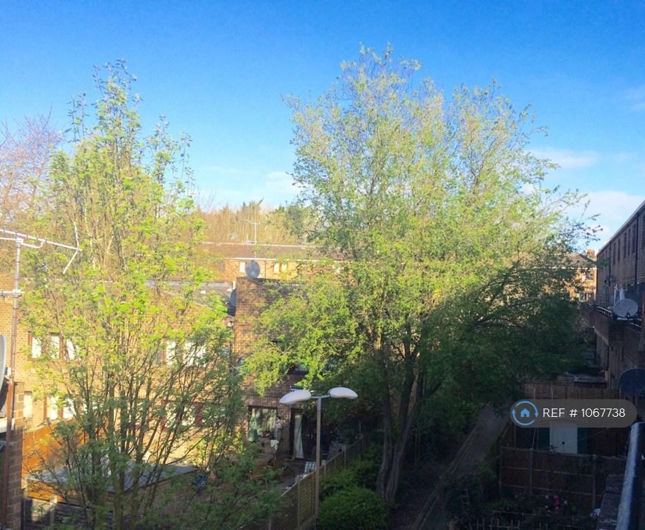 View From Balcony