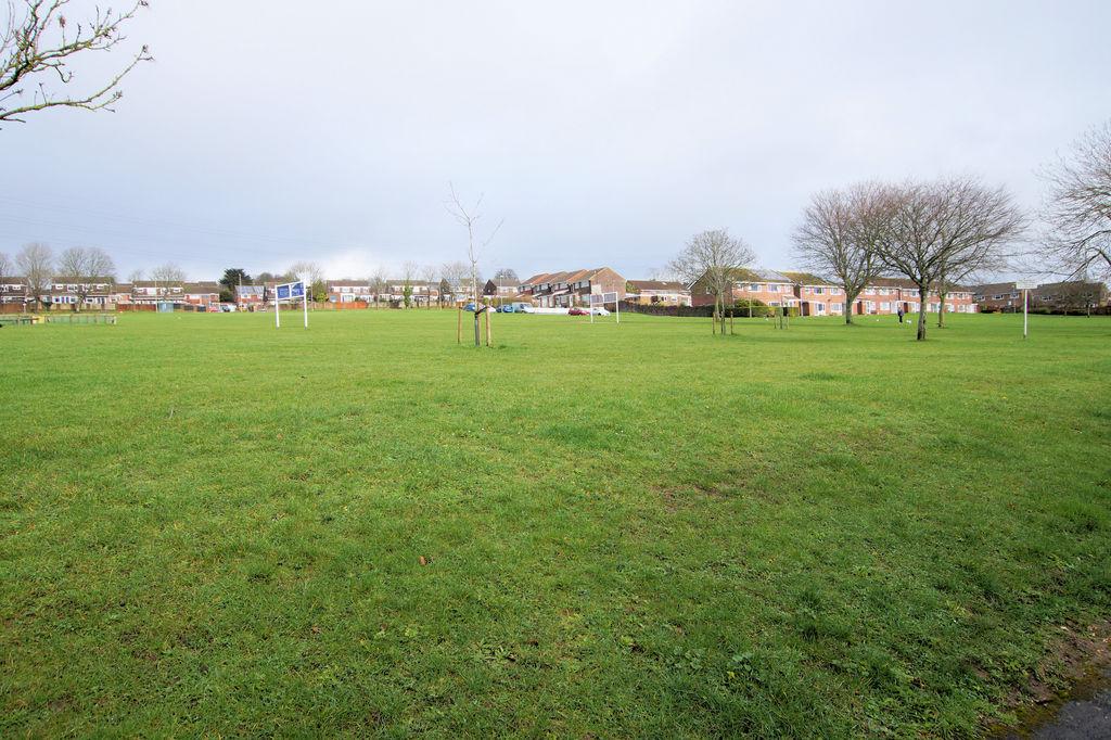 Playing Field