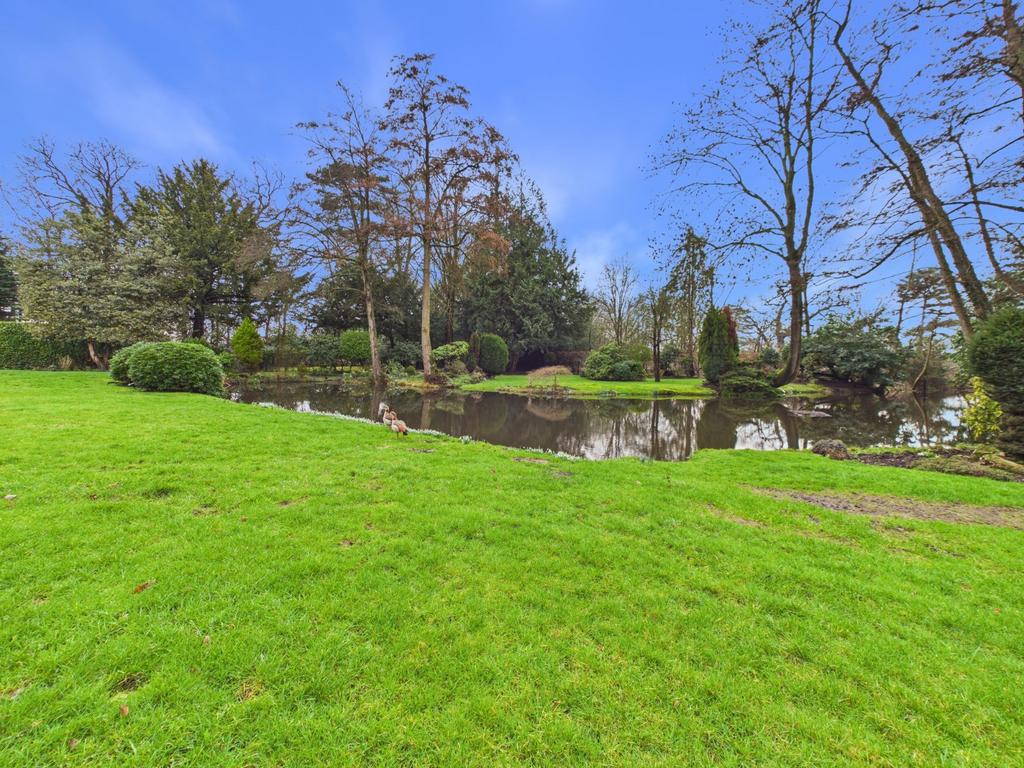 Communal Grounds