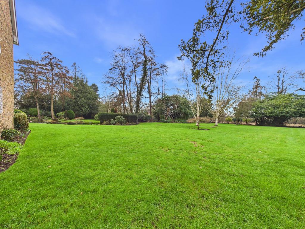 Communal Grounds