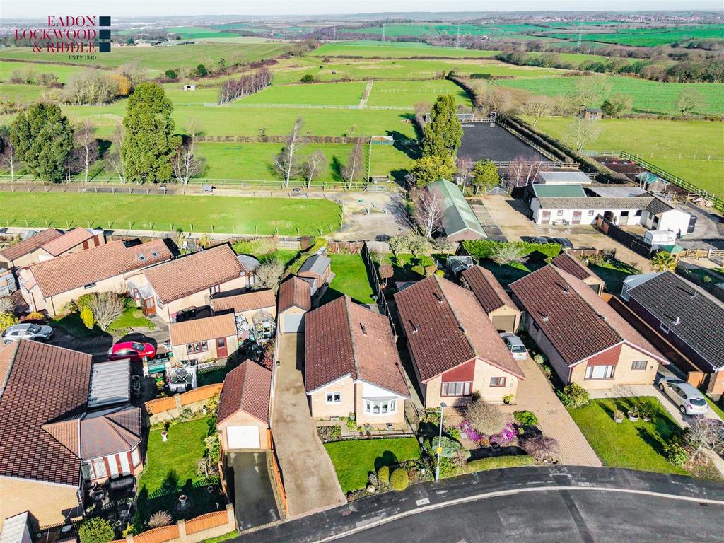 Aerial 6 .jpg