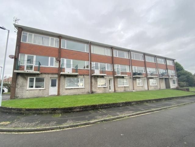 Front Picture