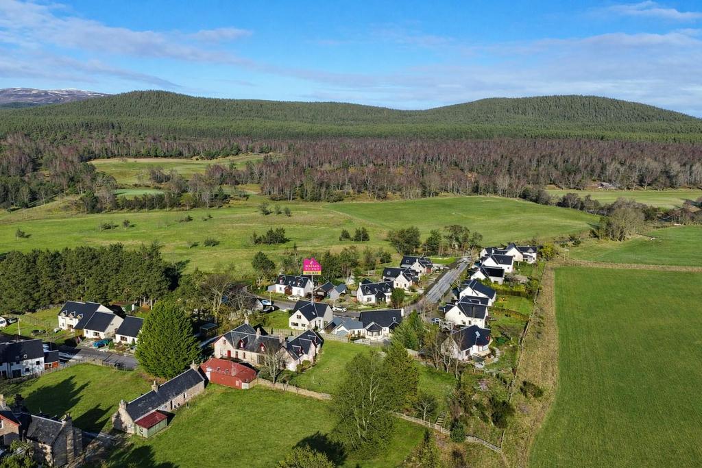 Aerial without snow.jpg